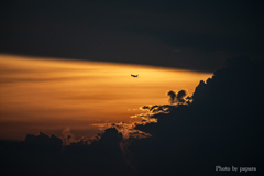 RINKU Sunset_20250903