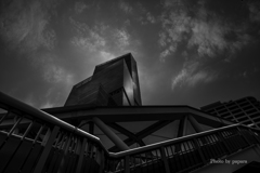 Colourful Black and White_37