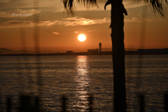 RINKU Sunset_2024185