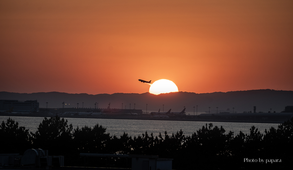RINKU Sunset_2025164