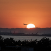 RINKU Sunset_2025164