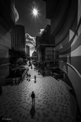 Colourful Black and White_20