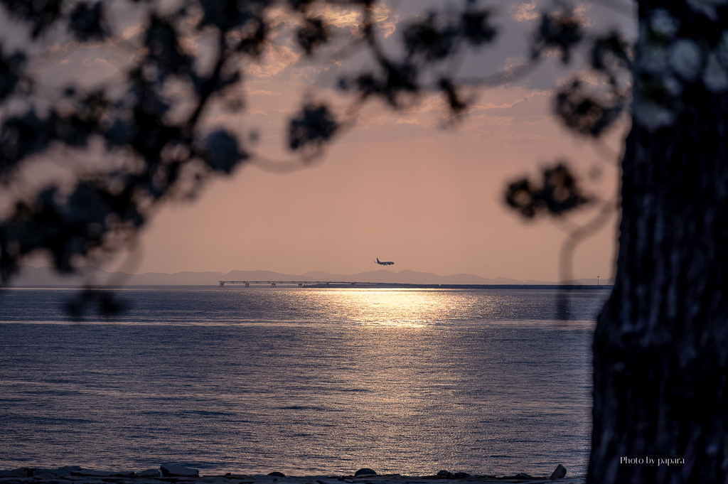 RINKU Sunset_2025107