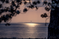 RINKU Sunset_2025107