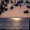 RINKU Sunset_2025107