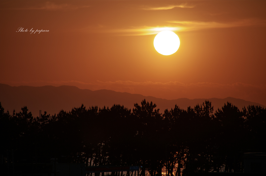 RINKU Sunset_2024157