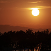 RINKU Sunset_2024157