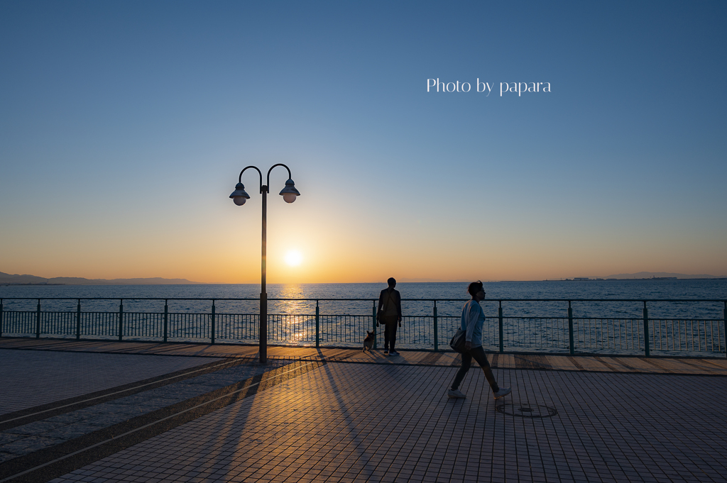 RINKU Sunset_2024320