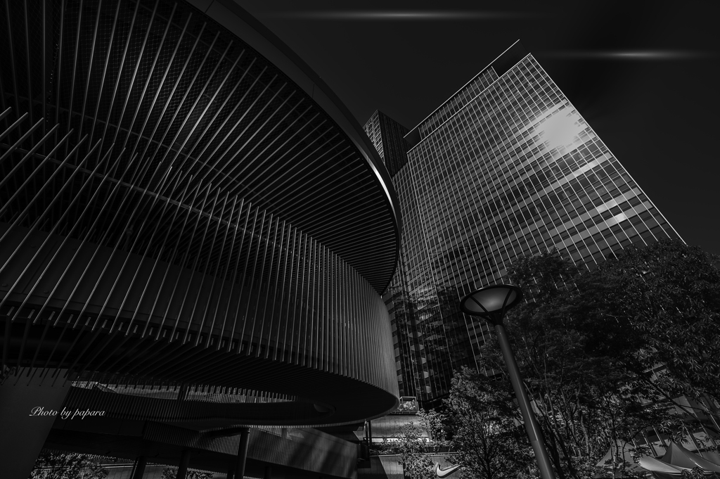 Colourful Black and White_18