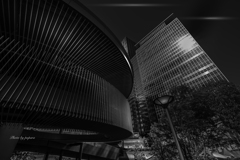 Colourful Black and White_18