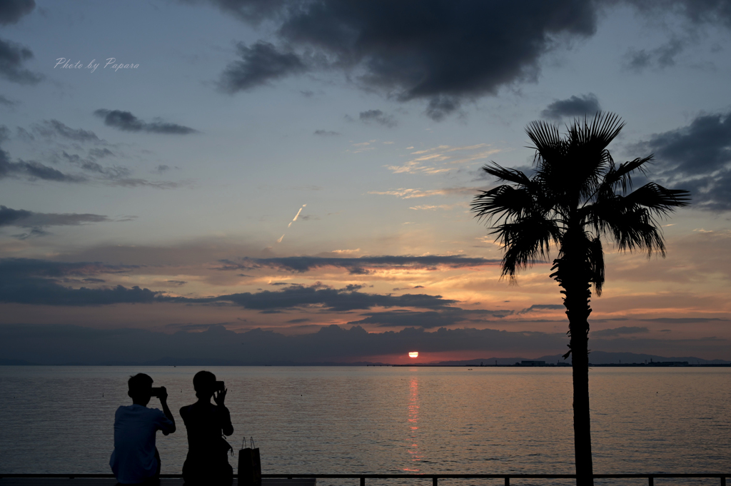 RINKU Sunset_246