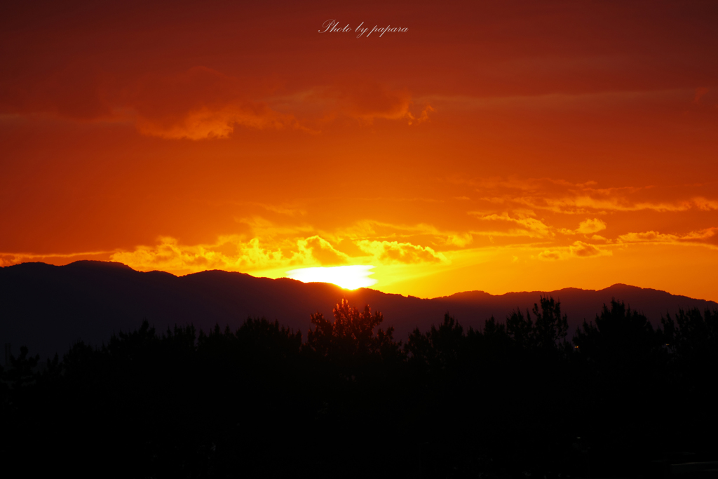 RINKU Sunset_2024154