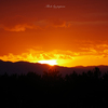 RINKU Sunset_2024154