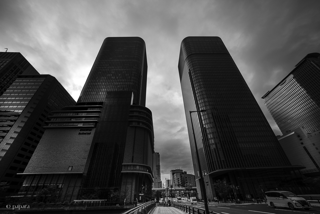 Colourful Black and White_38