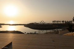 RINKU Sunset_260131pg