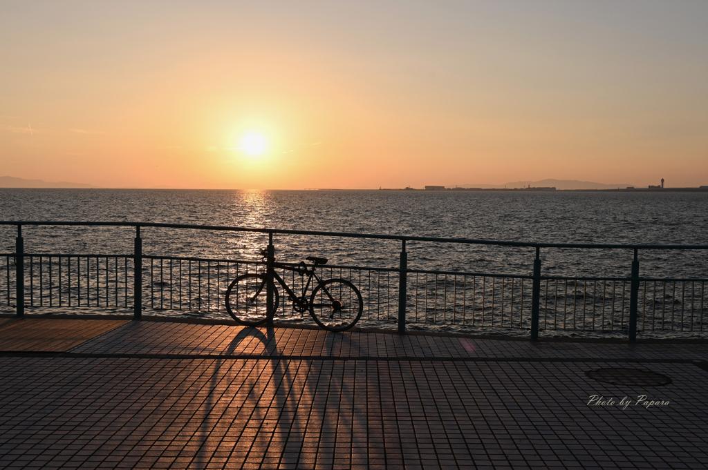 RINKU Sunset_267