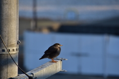 眼差しの向こうになにがあるの？