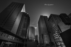 Colourful Black and White_17