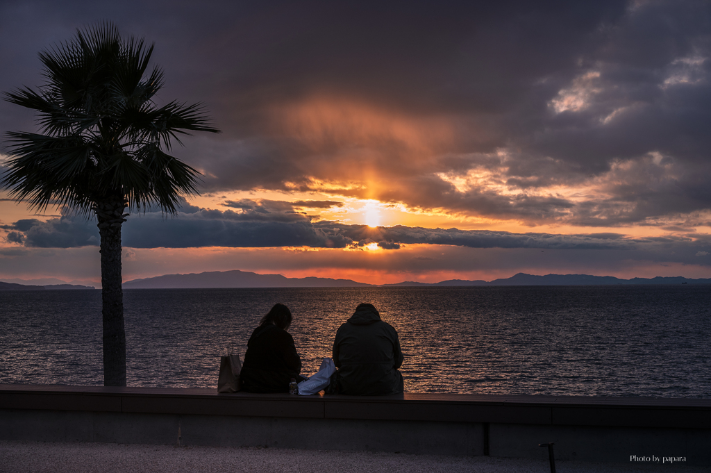 RINKU Sunset_2025059