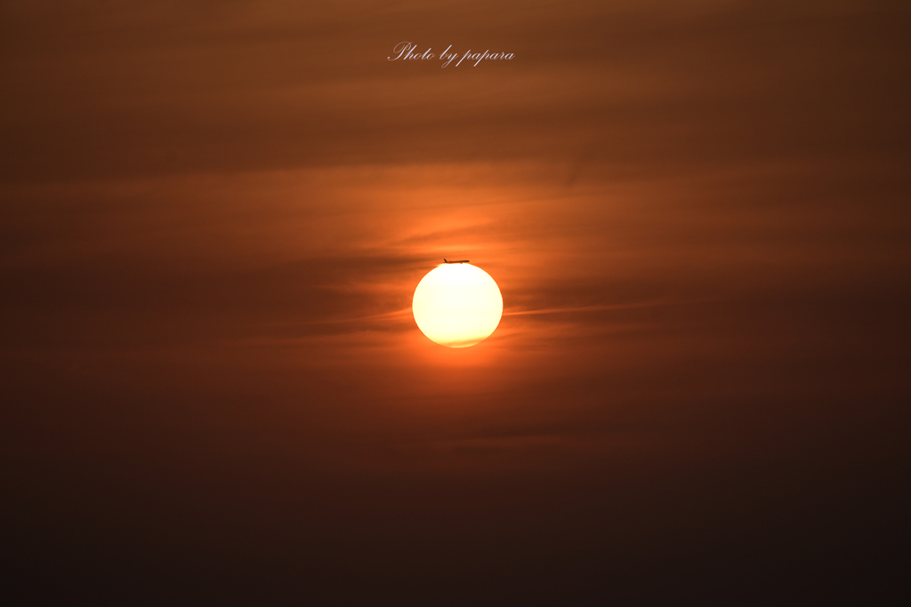 RINKU Sunset_2024190
