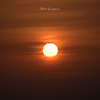 RINKU Sunset_2024190