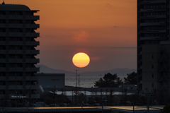 RINKU Sunset_2025058