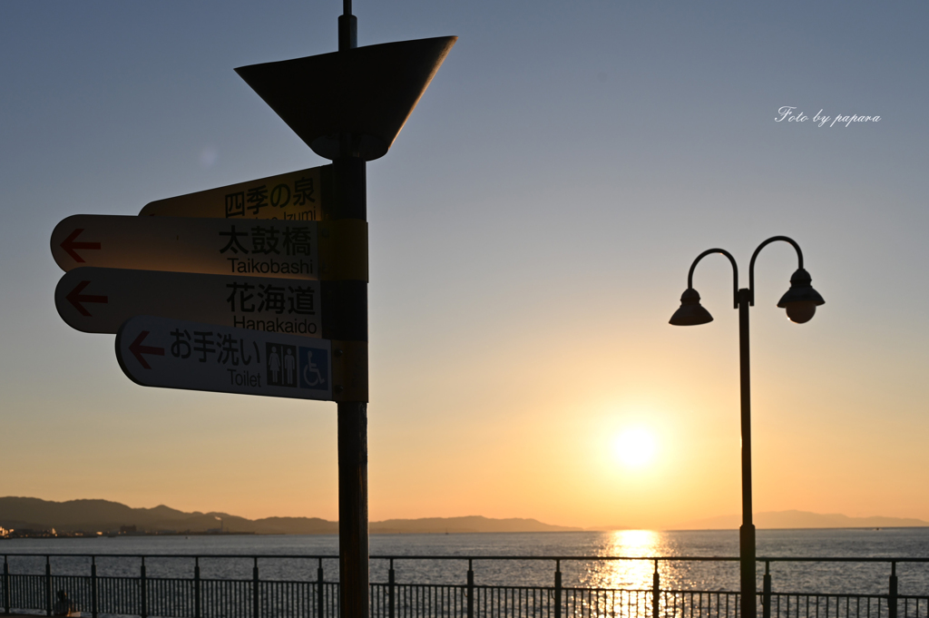 RINKU Sunset_334