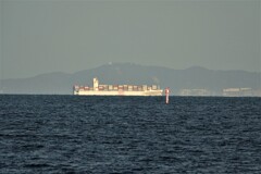 OOCL SAVANNAH