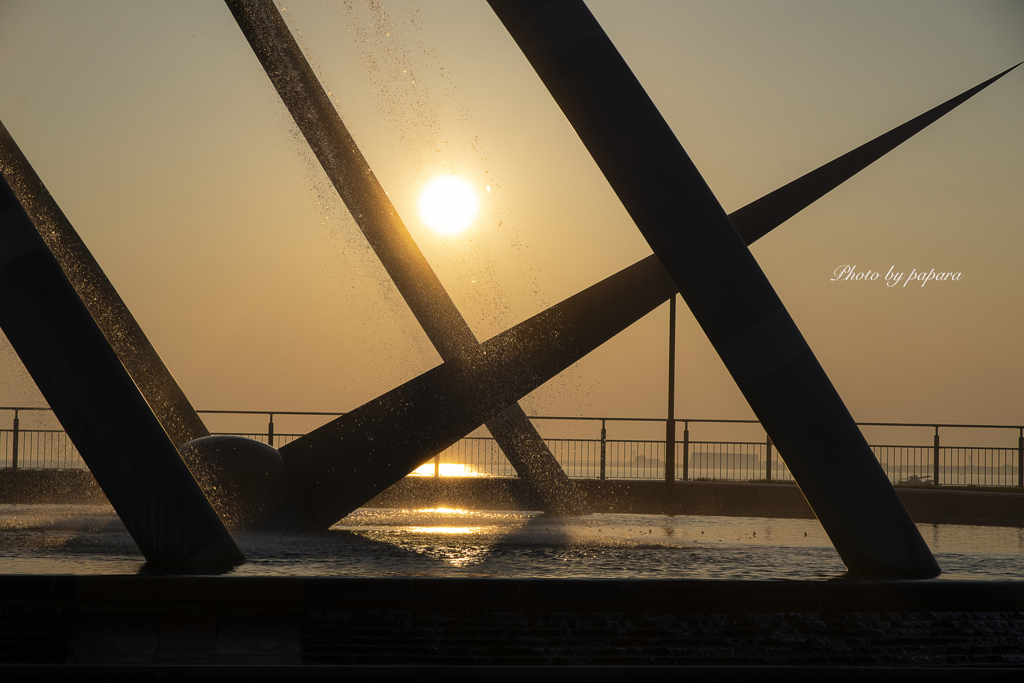 RINKU Sunset_2024269