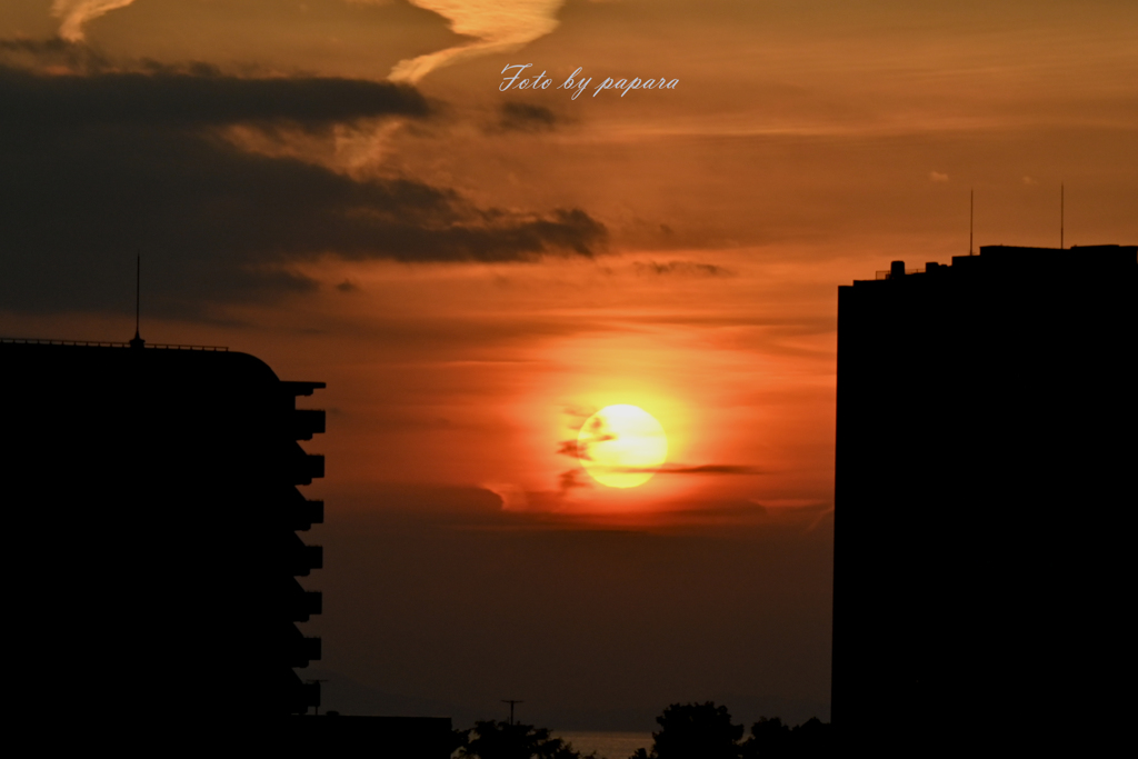 RINKU Sunset_310