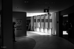 Colourful Black and White_23