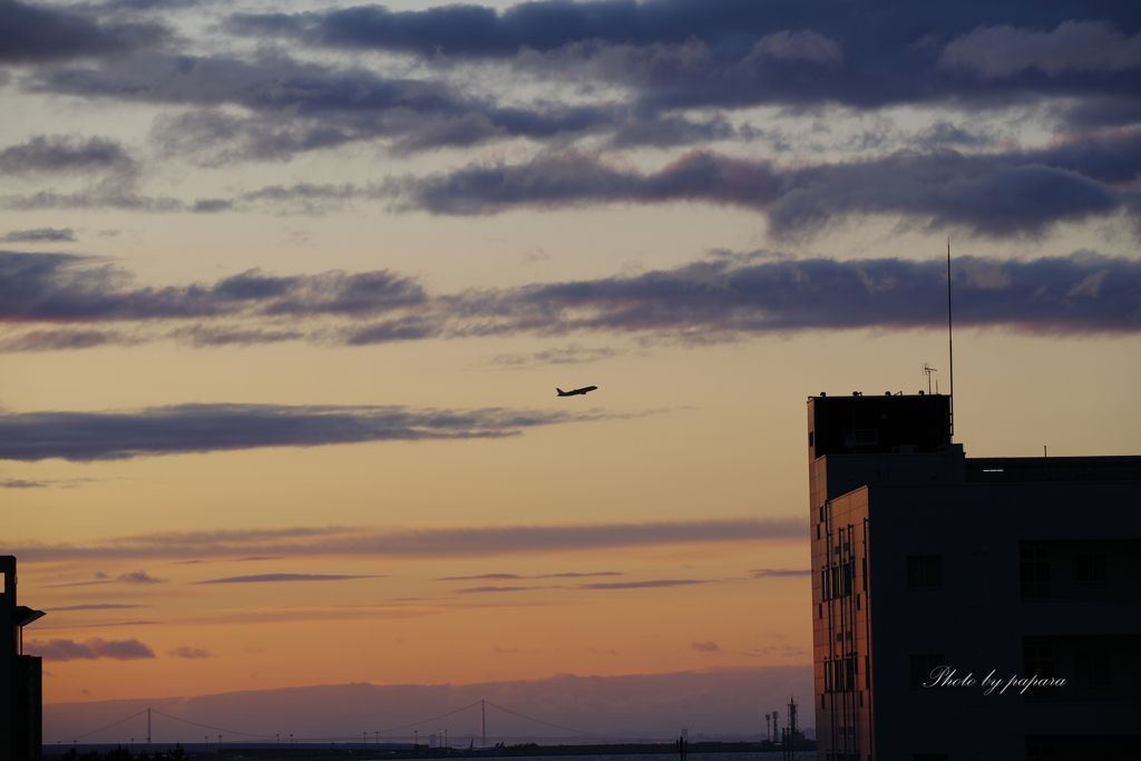 RINKU Sunset_2024153