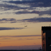 RINKU Sunset_2024153