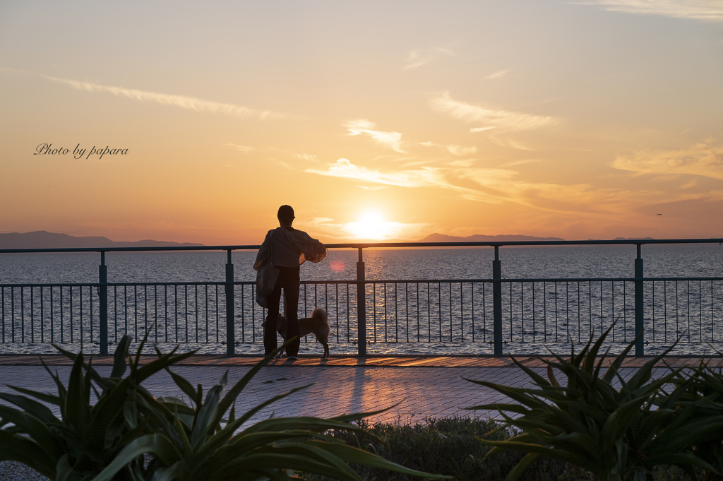 RINKU Sunset_2024311