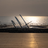 RINKU Sunset_2025119