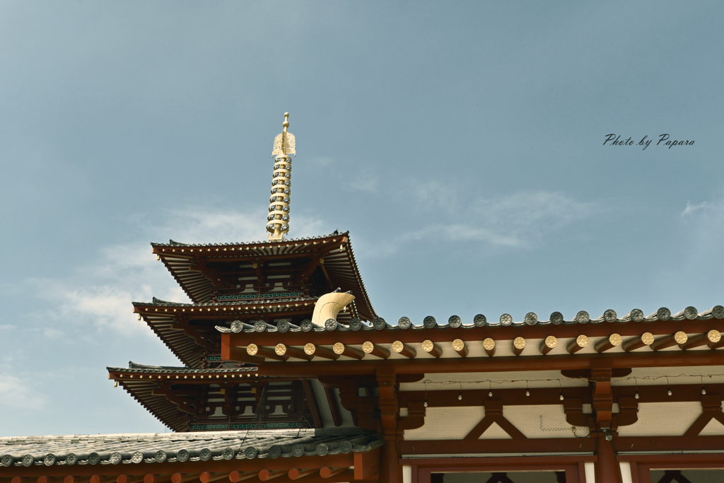 大阪天王寺からのお便り_15