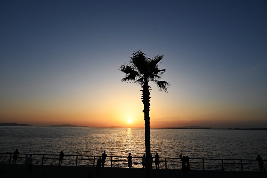 RINKU Sunset_81
