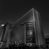 Colourful Black and White_04