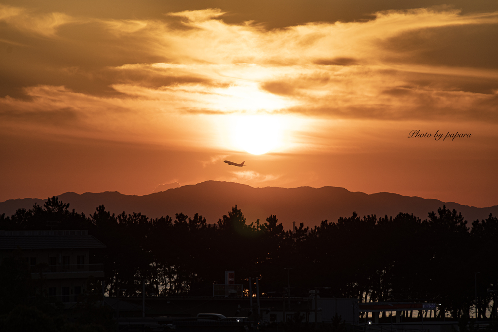 RINKU Sunset_2024247
