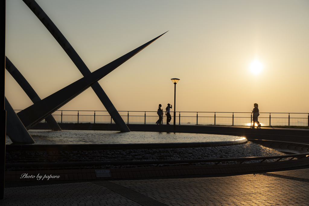 RINKU Sunset_2024261