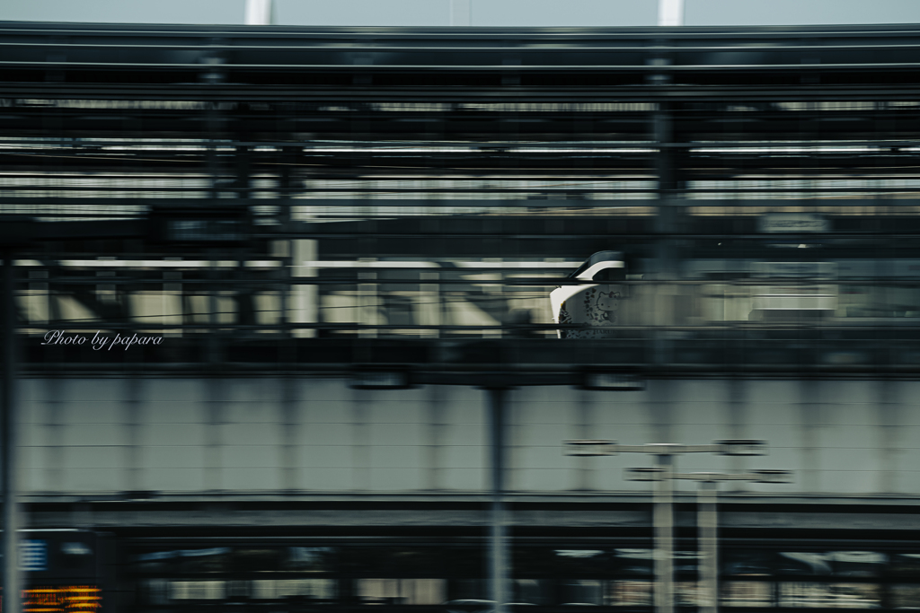 walking course_82
