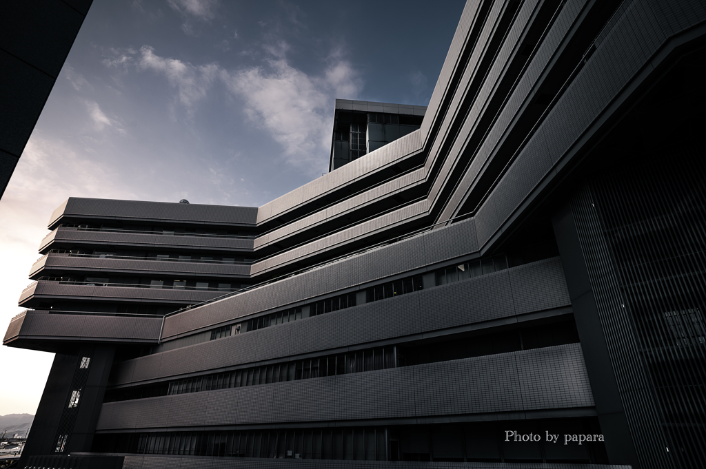 Architecture_21