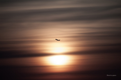 RINKU Sunset_2025149
