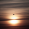 RINKU Sunset_2025149