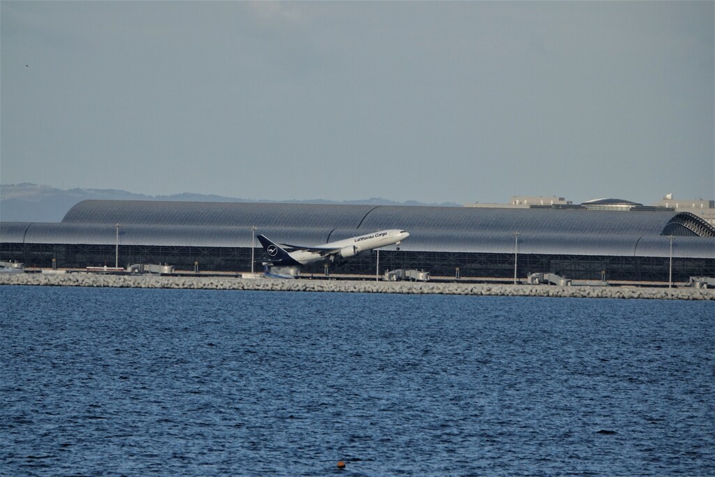 Lufthansa Cargo