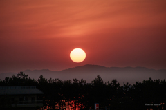 RINKU Sunset_2025139