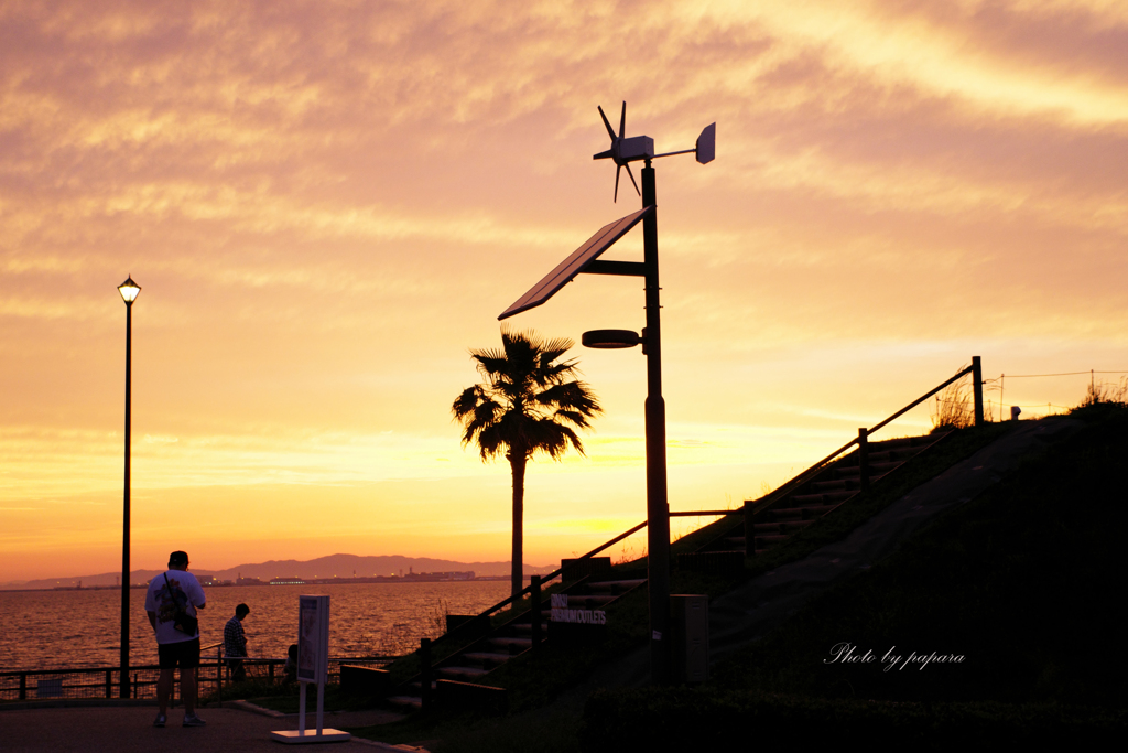RINKU Sunset_2024162