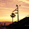 RINKU Sunset_2024162
