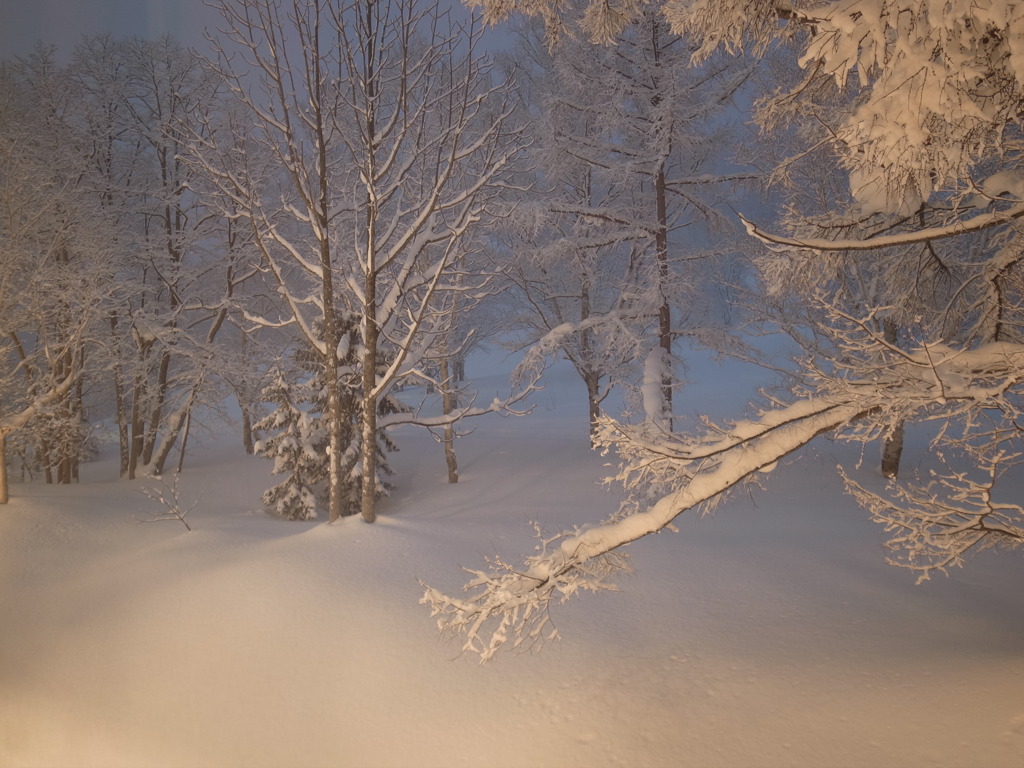 Snow