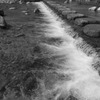 Sumiyoshi river #1